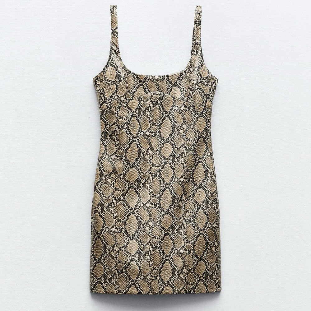 Zara Faux Leather Snake Print Dress